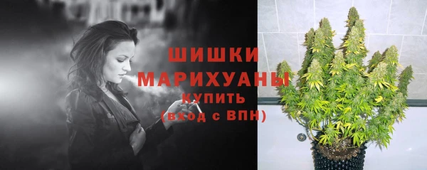 спиды Заводоуковск