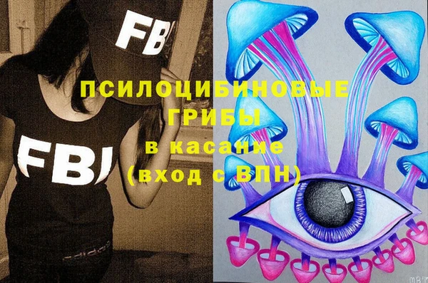 спиды Заводоуковск