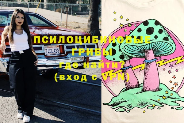 спиды Заводоуковск
