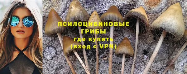 MDMA Заволжск