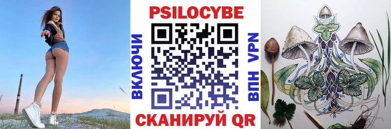 Купить  Гуково  Псилоцибиновые грибы Cubensis 